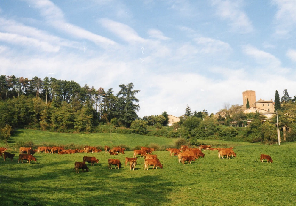 Azienda Agricola Camillo e Filippo Dal Verme